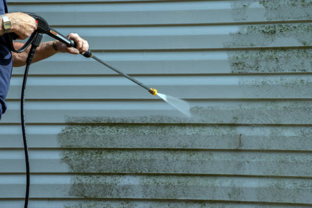 Best Residential Pressure Washing Services  in Barrington Hls, IL