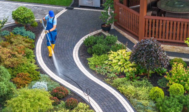 Best Pressure Washing Near Me  in Barrington Hls, IL